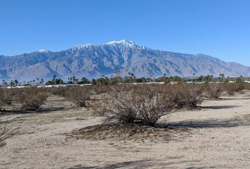 San Jacinto Mountain panorama