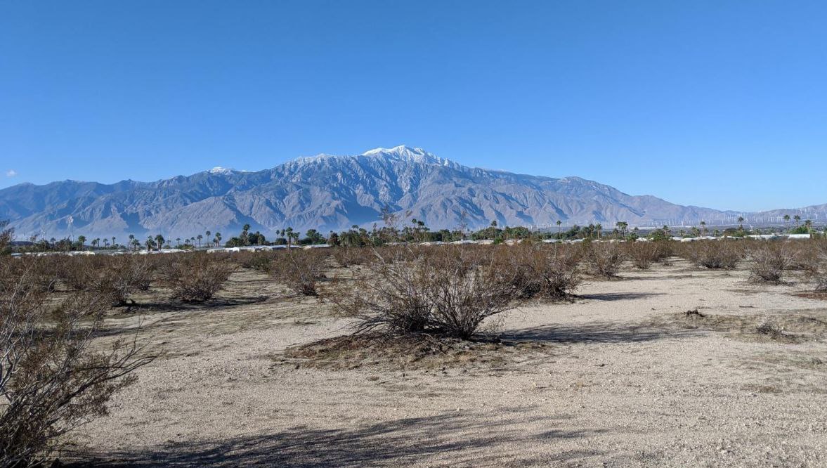 View of San Jacinto Mountains from Magic Rock property