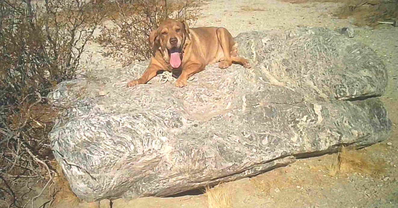 Magic Rock in its natural state